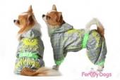 Одежда для четверолапых питомцев: удобный в любую непогоду дождевик для собак