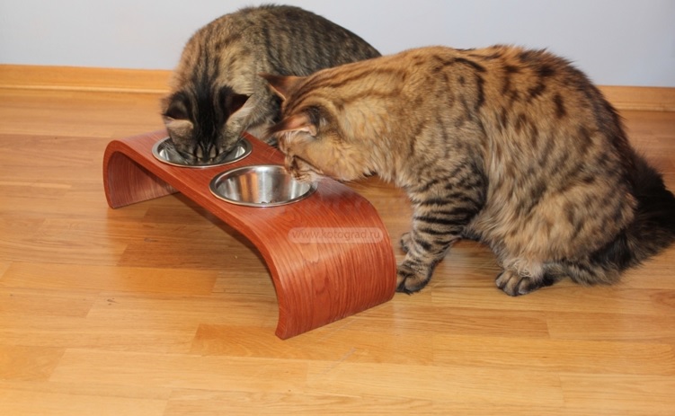 Домики для кошек и собак деревянные
