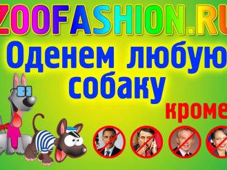 Интернет-магазин ZooFashion - одежда для собак всех пород