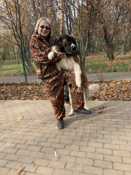Профессиональная дрессировка собак в Москве